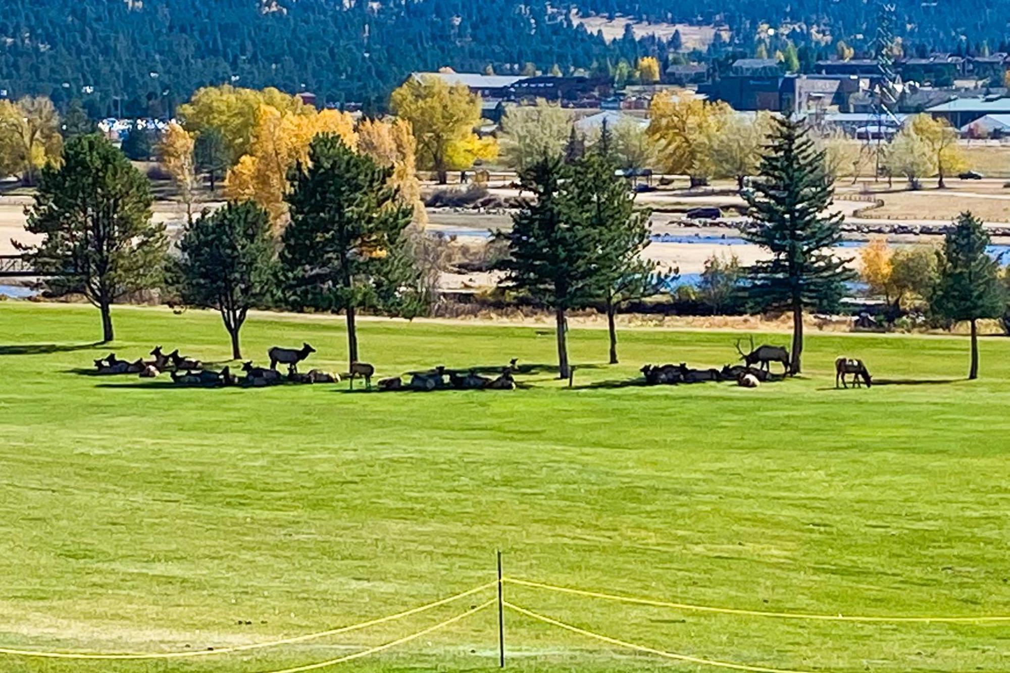 Vila Fairways & 14Ers Estes Park Exteriér fotografie